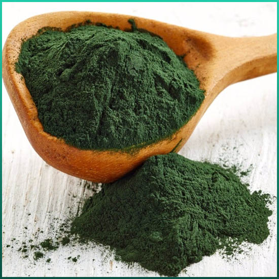 Izvleček spiruline